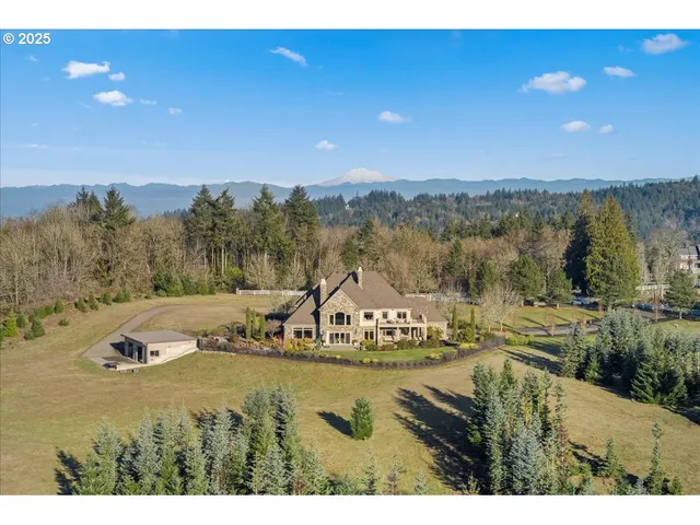 a view of a town with mountains in the background