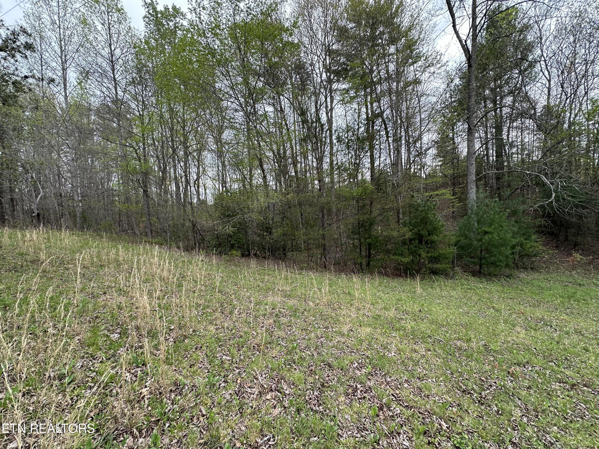 0 Epperson Road Tellico Plains, TN 37385 - Photo 6 of 7 Gallery Image 6