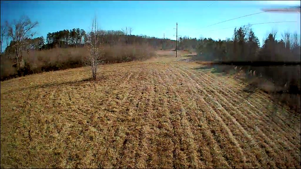 4293 Grandy Road Brodnax, VA 23920 - Photo 13 of 25 Gallery Image 13