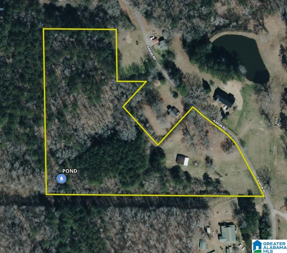 0 Aaron Road Jasper, AL 35501 - Photo 9 of 44