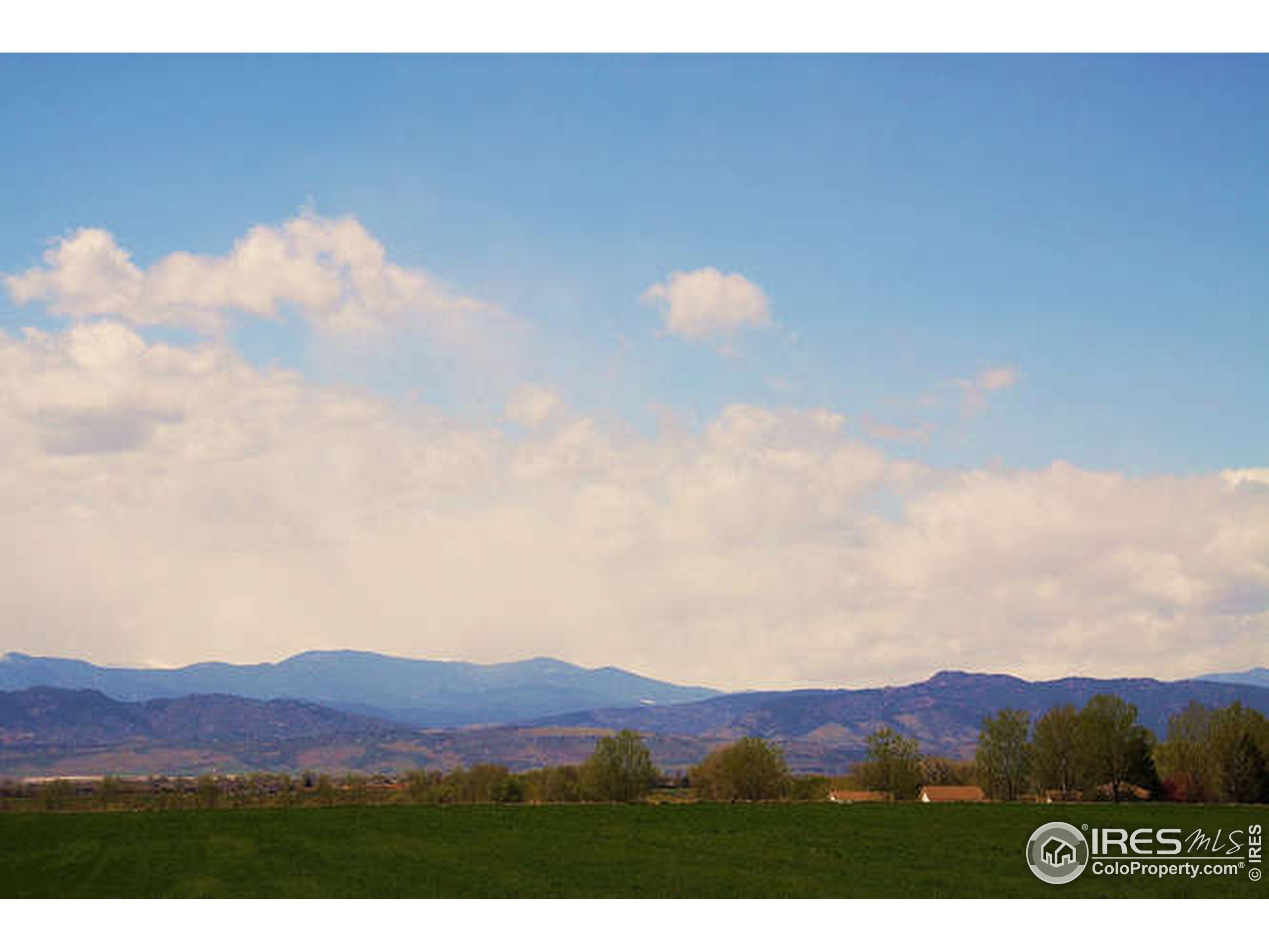 6106 Greybull Road Timnath, CO 80547 - Photo 39 of 39