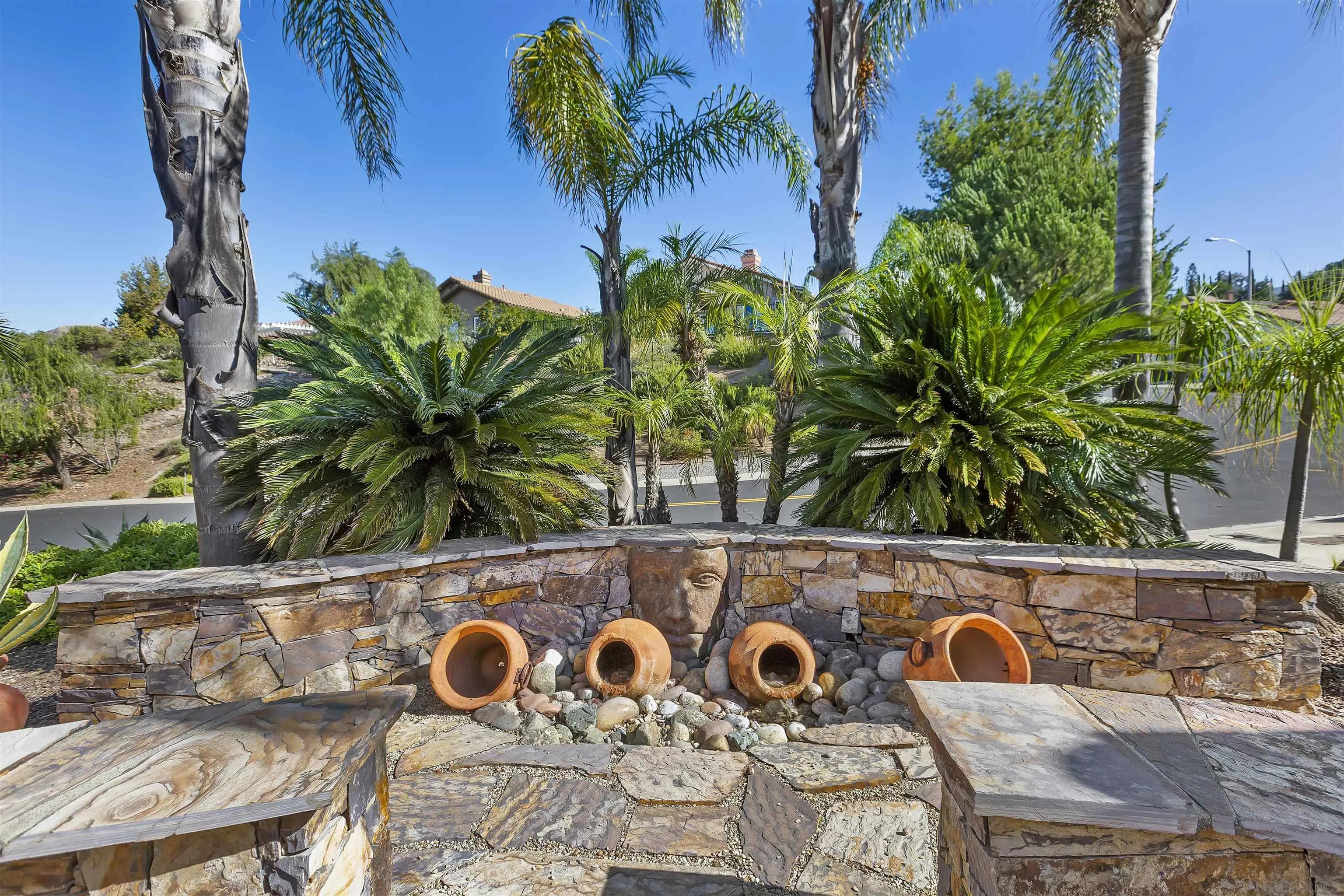 2703 Lobelia Road Alpine, CA 91901 - Photo 4 of 40 a close up of a potted plant