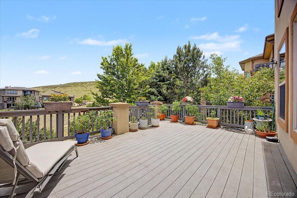10492 Rivington Court Lone Tree, CO 80124 - Photo 44 of 50