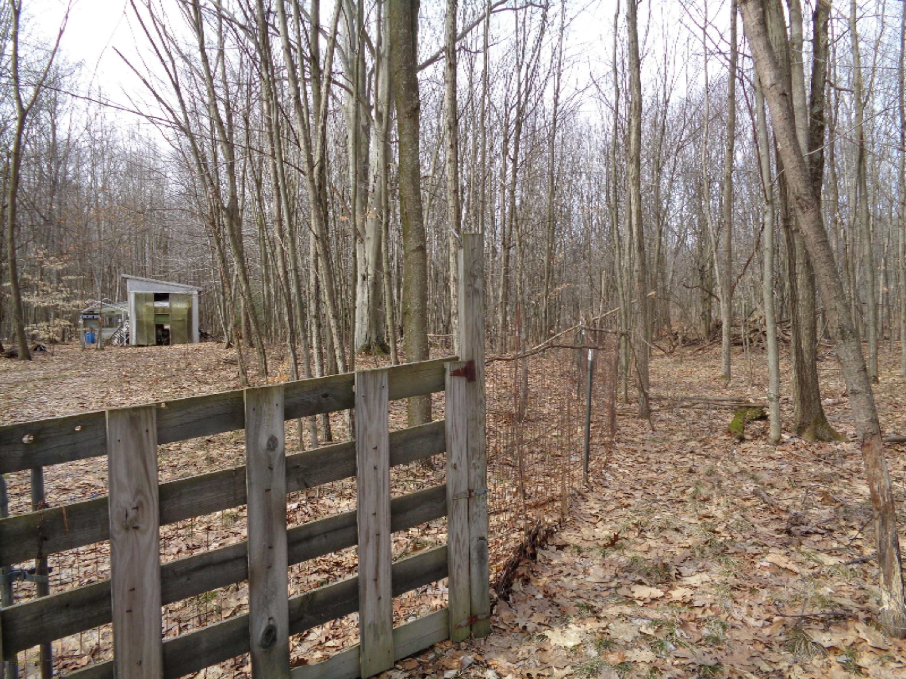 1127 South Saddler Road Reed City, MI 49677 - Photo 2 of 8 DSC00353