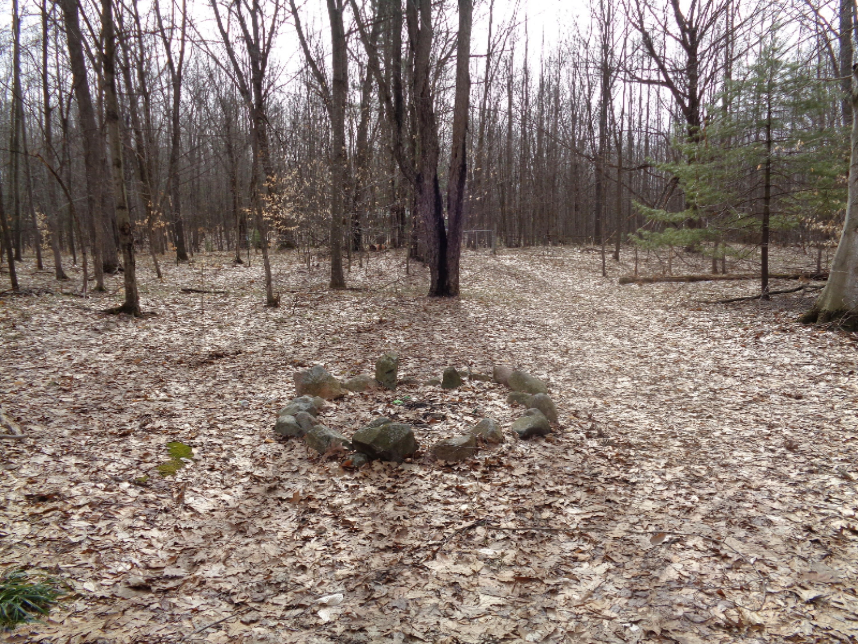 1127 South Saddler Road Reed City, MI 49677 - Photo 5 of 8 DSC00356