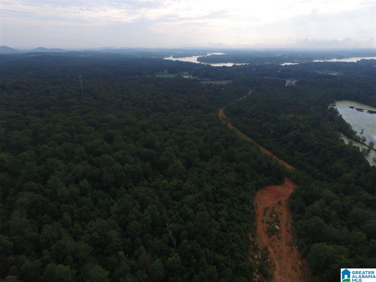 0 Morris Farms Drive Riverside, AL 35135 - Photo 6 of 18