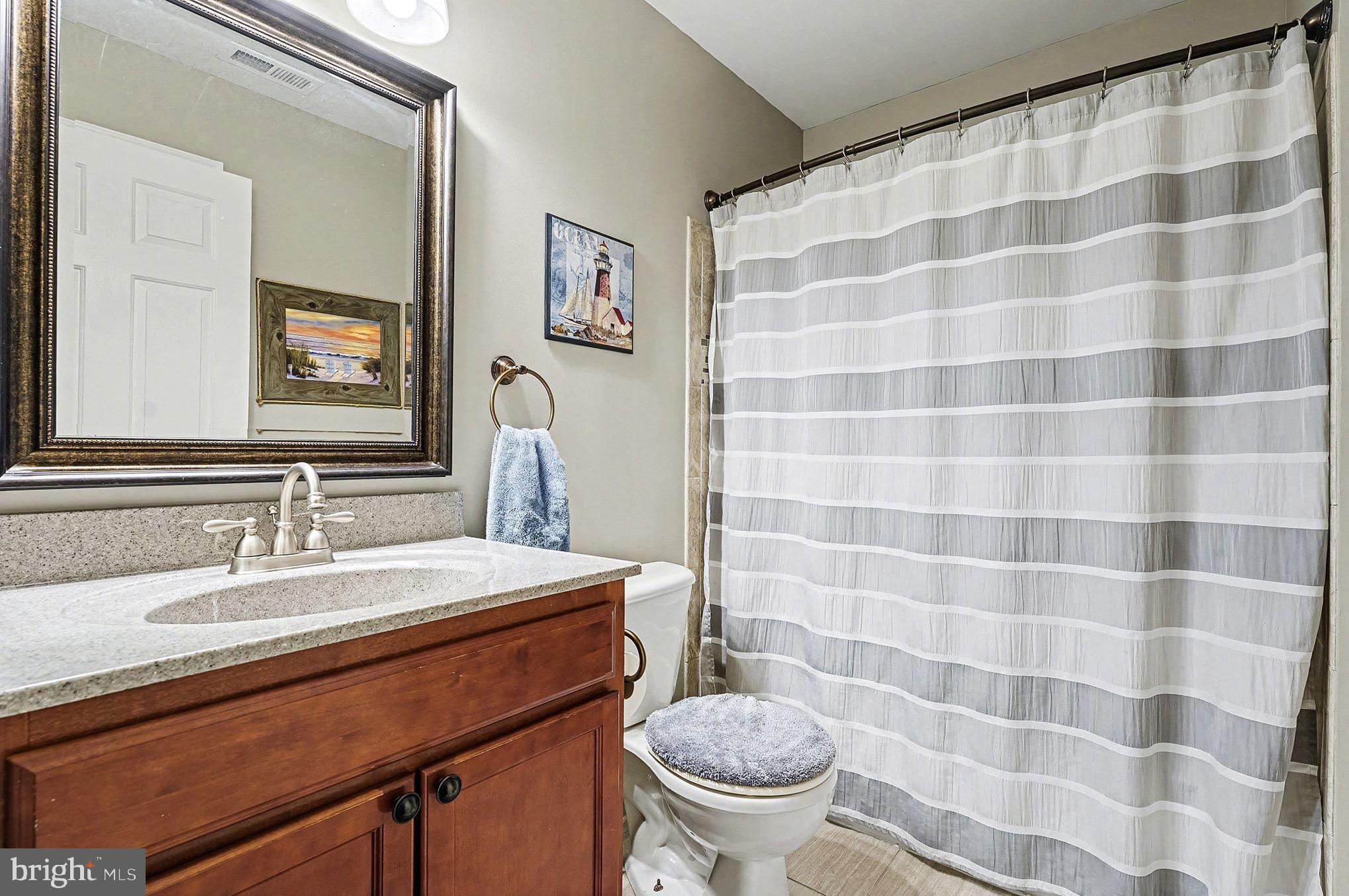 6465 Colonial Village Loop Manassas, VA 20112 - Photo 28 of 39 a bathroom with a sink a toilet a mirror and shower curtain