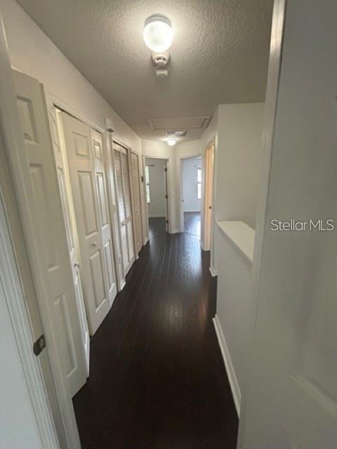 2417 Hibiscus Bay Lane Brandon, FL 33511 - Photo 28 of 36 a view of a hallway