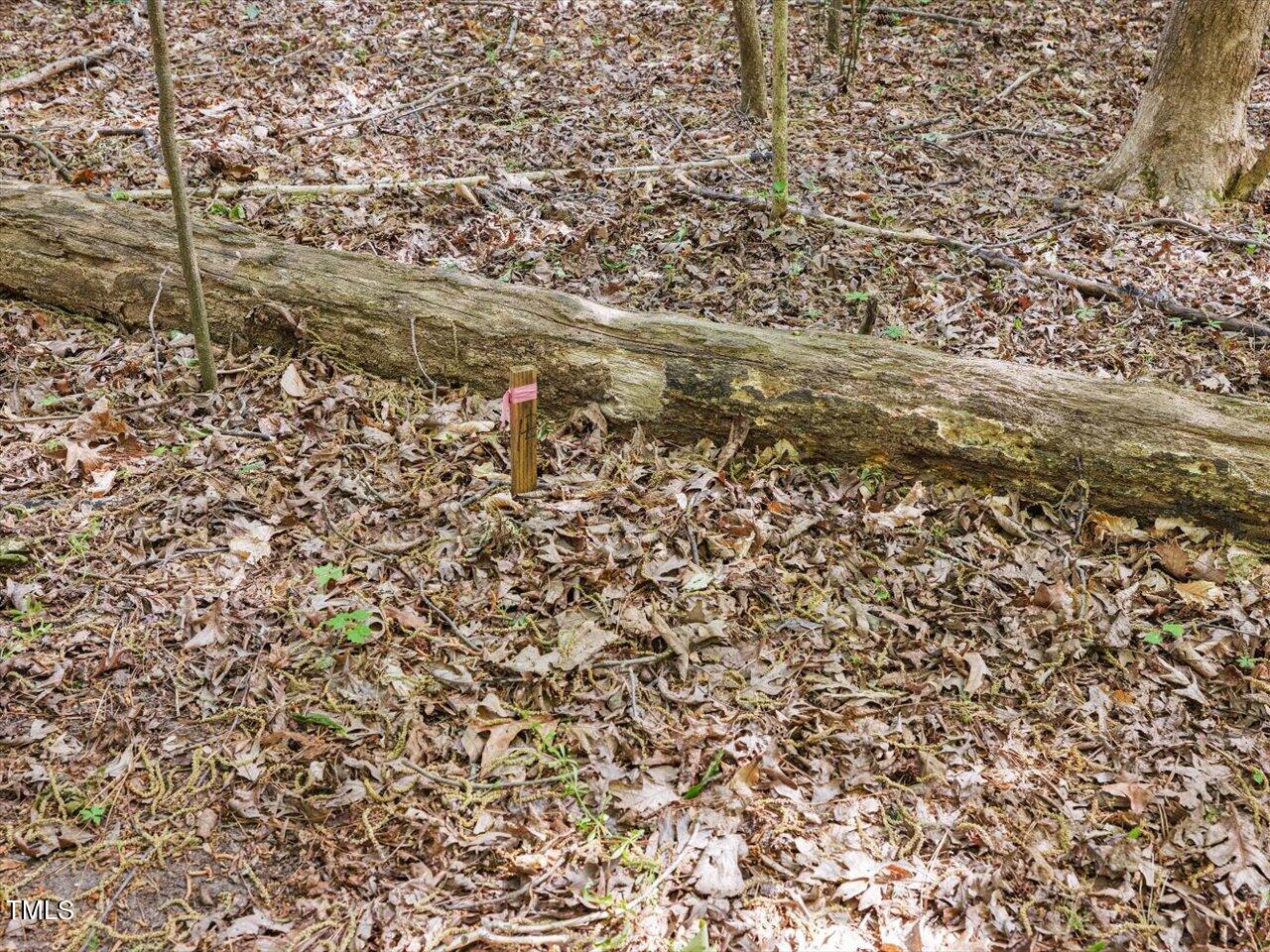 10609 Chinkapin Place Raleigh, NC 27613 - Photo 70 of 78 70-Deep Lot - Marked Boundaries