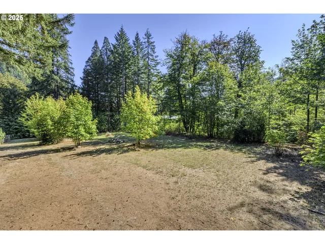 a view of a yard with an tree