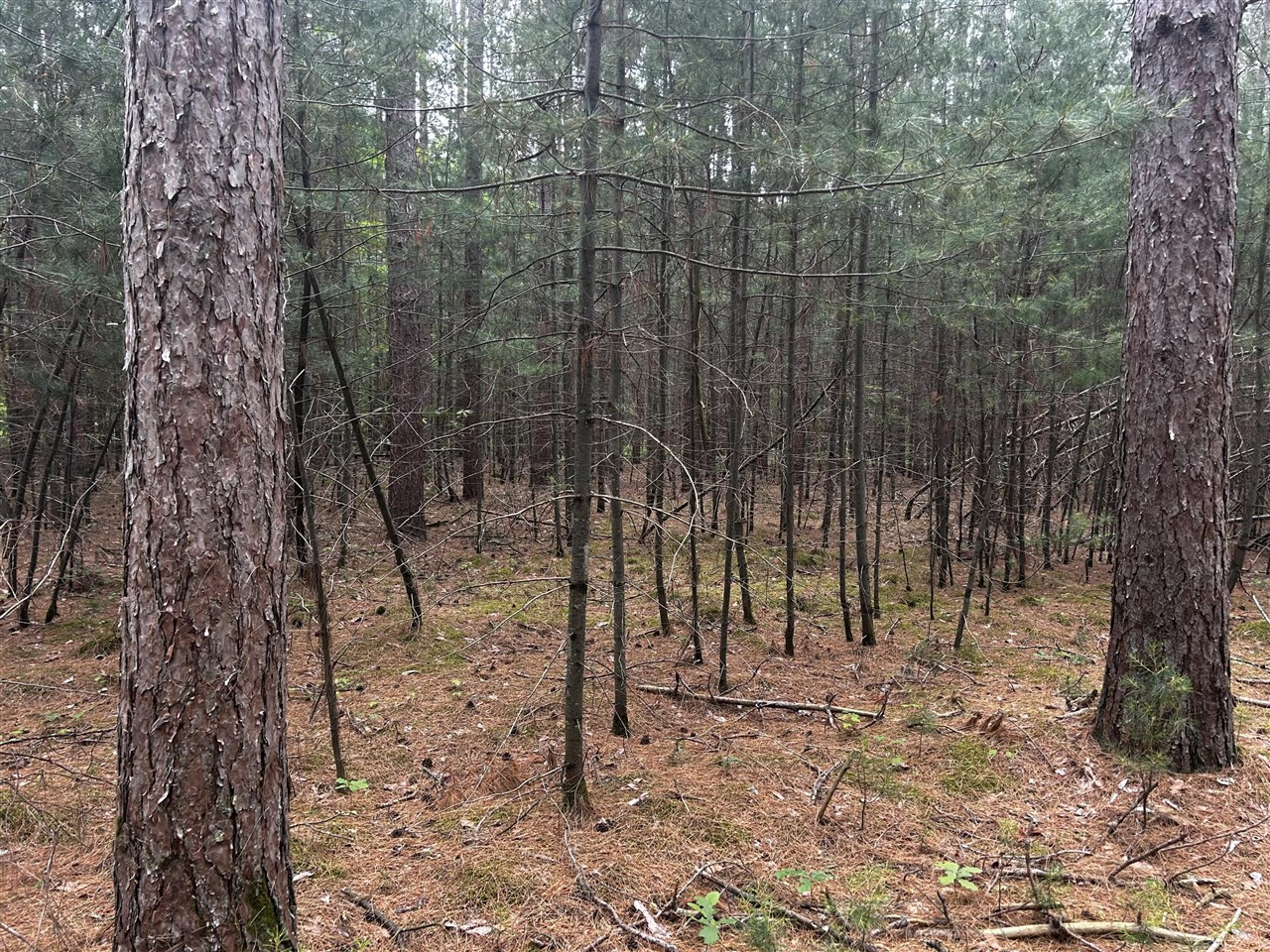 40 West 9 Mile Road Free Soil, MI 49411 - Photo 8 of 20 Gallery Image 8