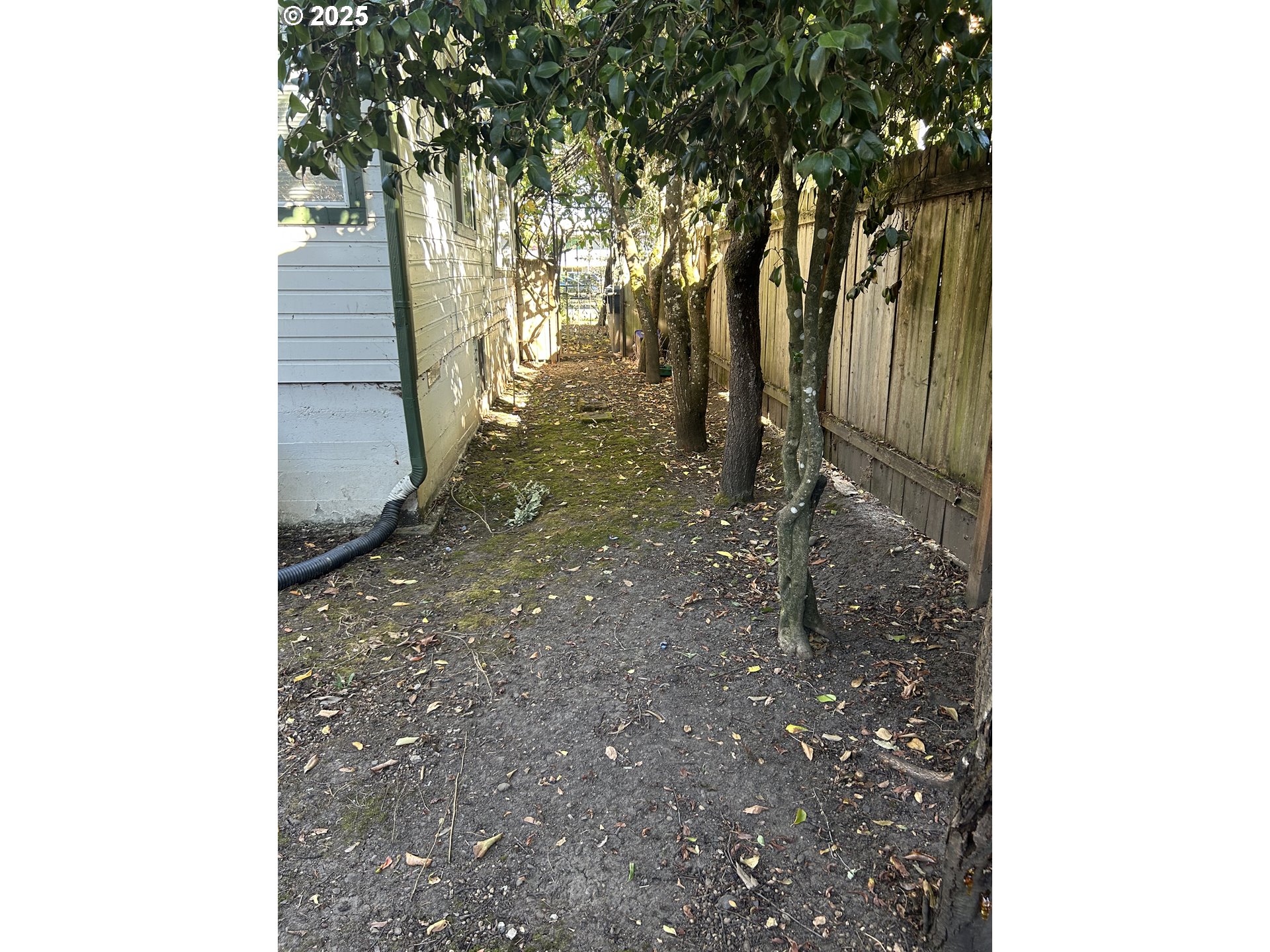 239 D Street Springfield, OR 97477 - Photo 14 of 14