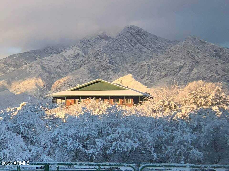 a view of a wooden floor with a yard