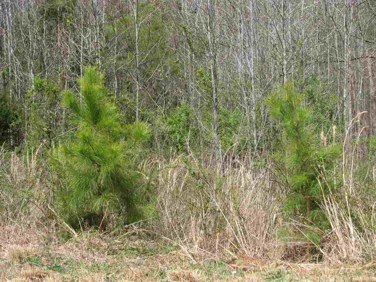 Lot # Sardis Road Gaffney, SC 29340 - Photo 5 of 9