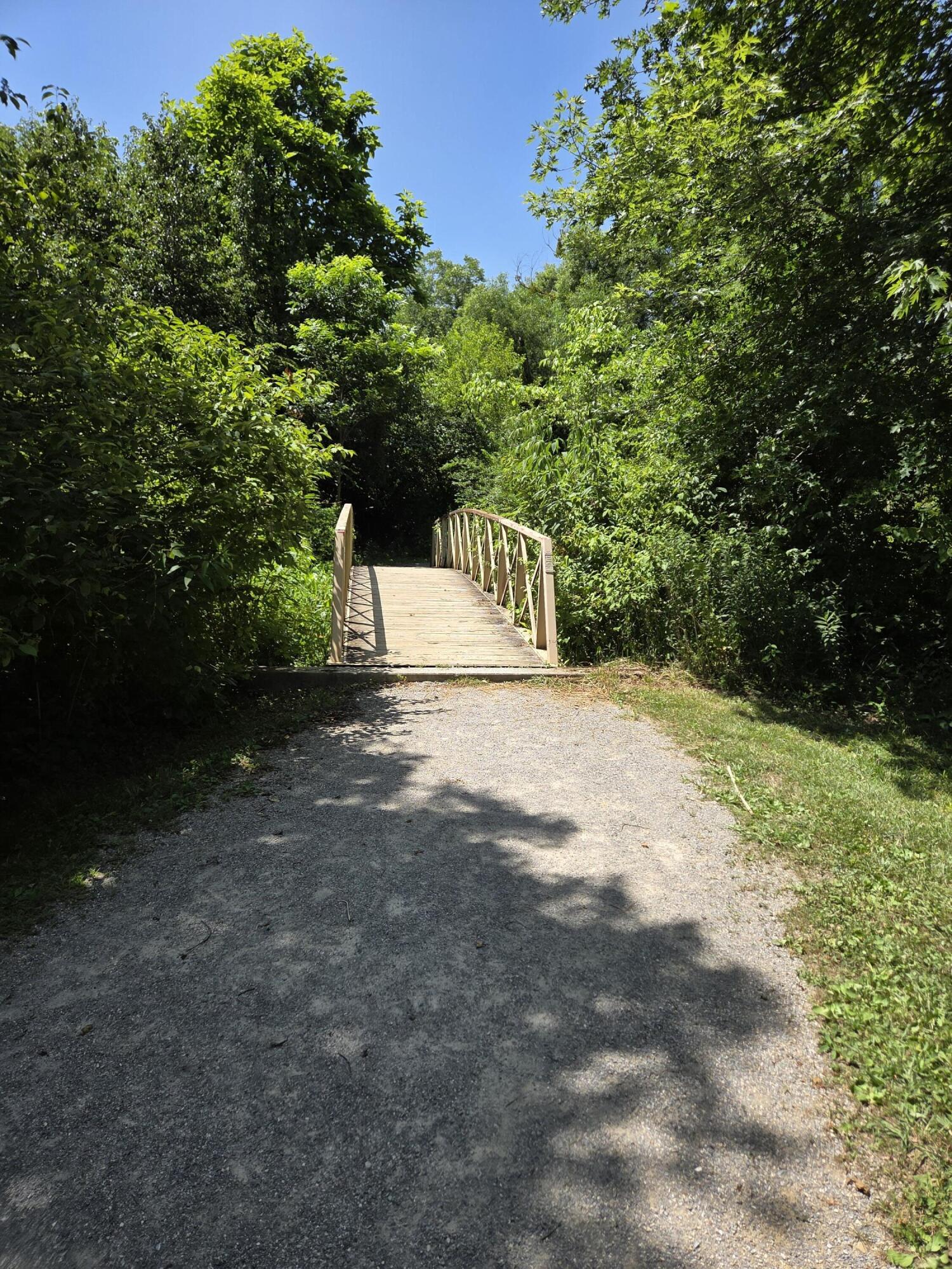 7633 Deer Branch Road Roanoke, VA 24019 - Photo 53 of 58 Walking Trail