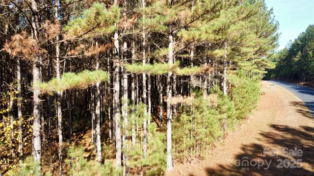 $49,999 | 127 Whispering Pines Lane, Unit 70A, Mooresboro, NC 28114