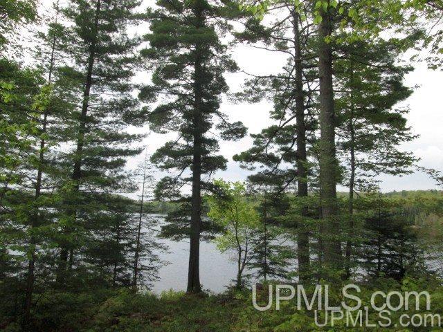Tbd Washington Mine Road, Unit LOT 11 Mohawk, MI 49950 - Photo 14 of 18 Gallery Image 14