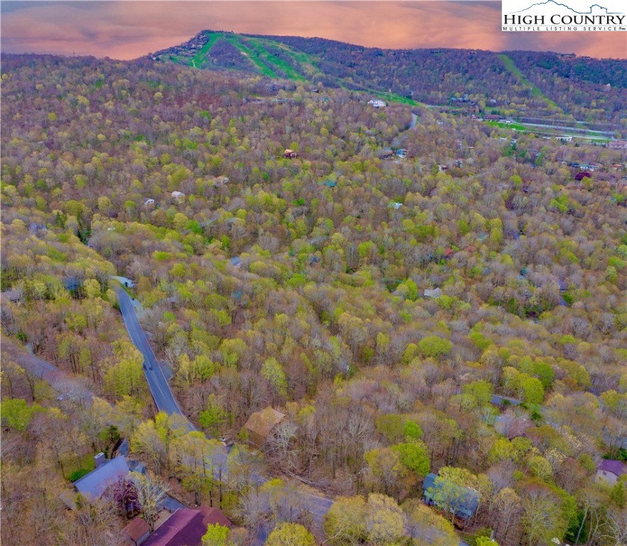 200 Tamarack Road Beech Mountain, NC 28604 - Photo 5 of 43 Gallery Image 5