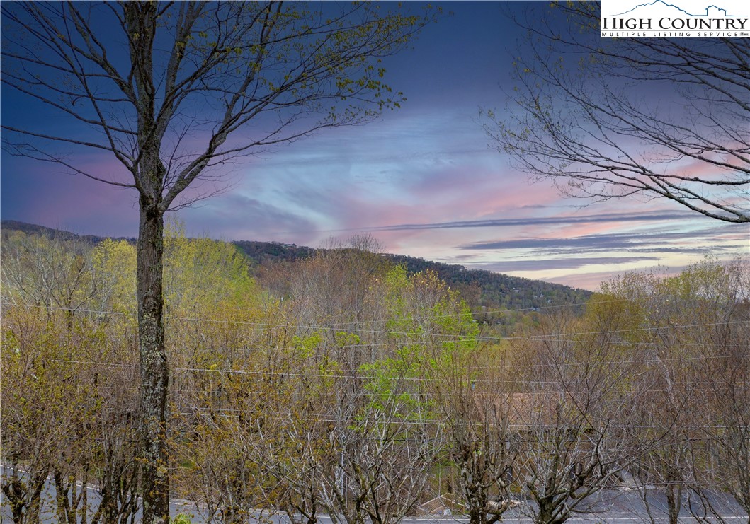 200 Tamarack Road Beech Mountain, NC 28604 - Photo 6 of 43 Gallery Image 6