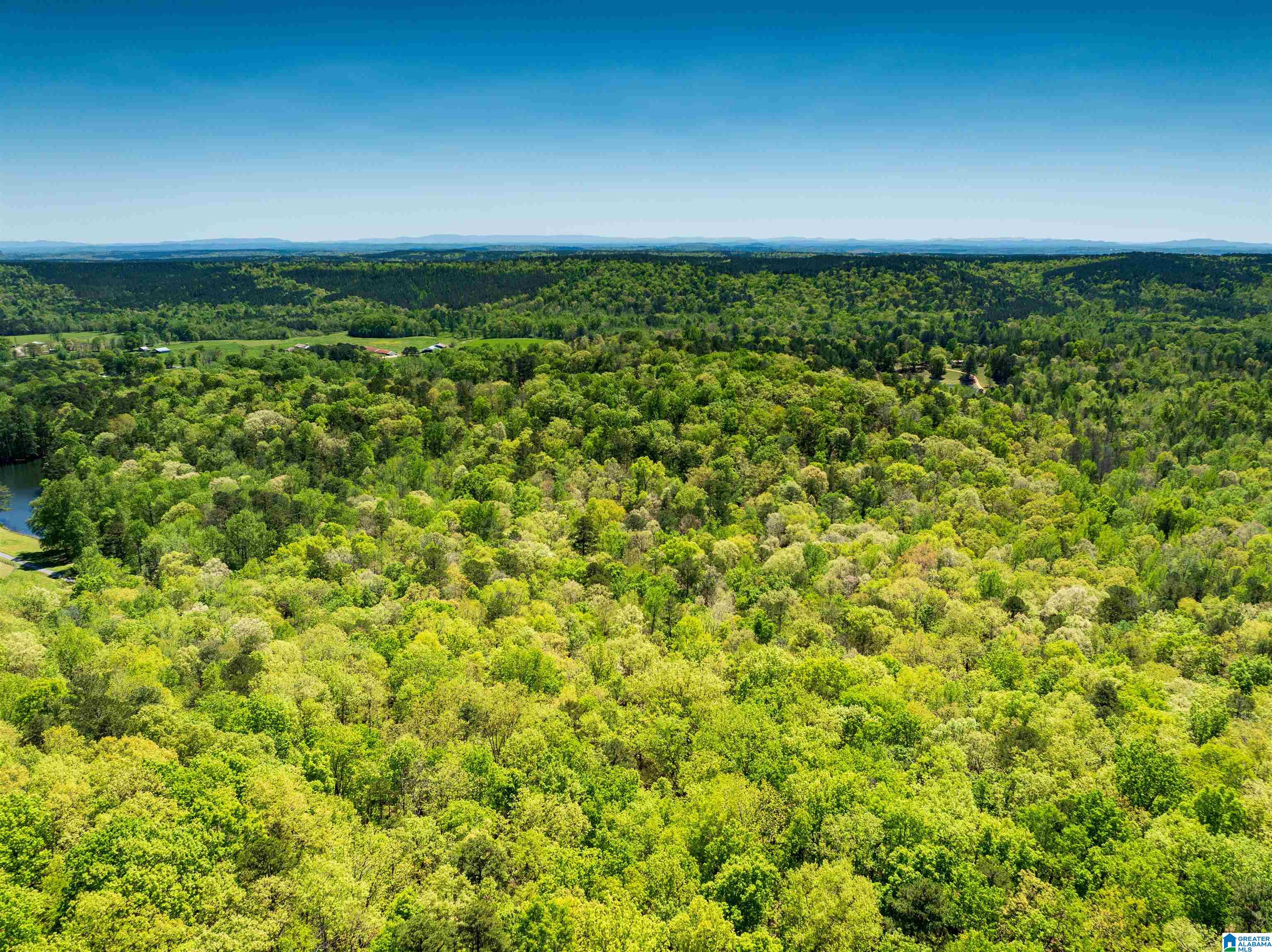 0 Pike Hill Road Ashville, AL 35953 - Photo 22 of 22