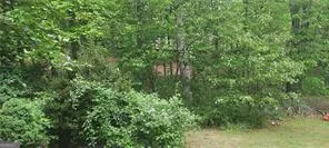 a view of a lush green forest