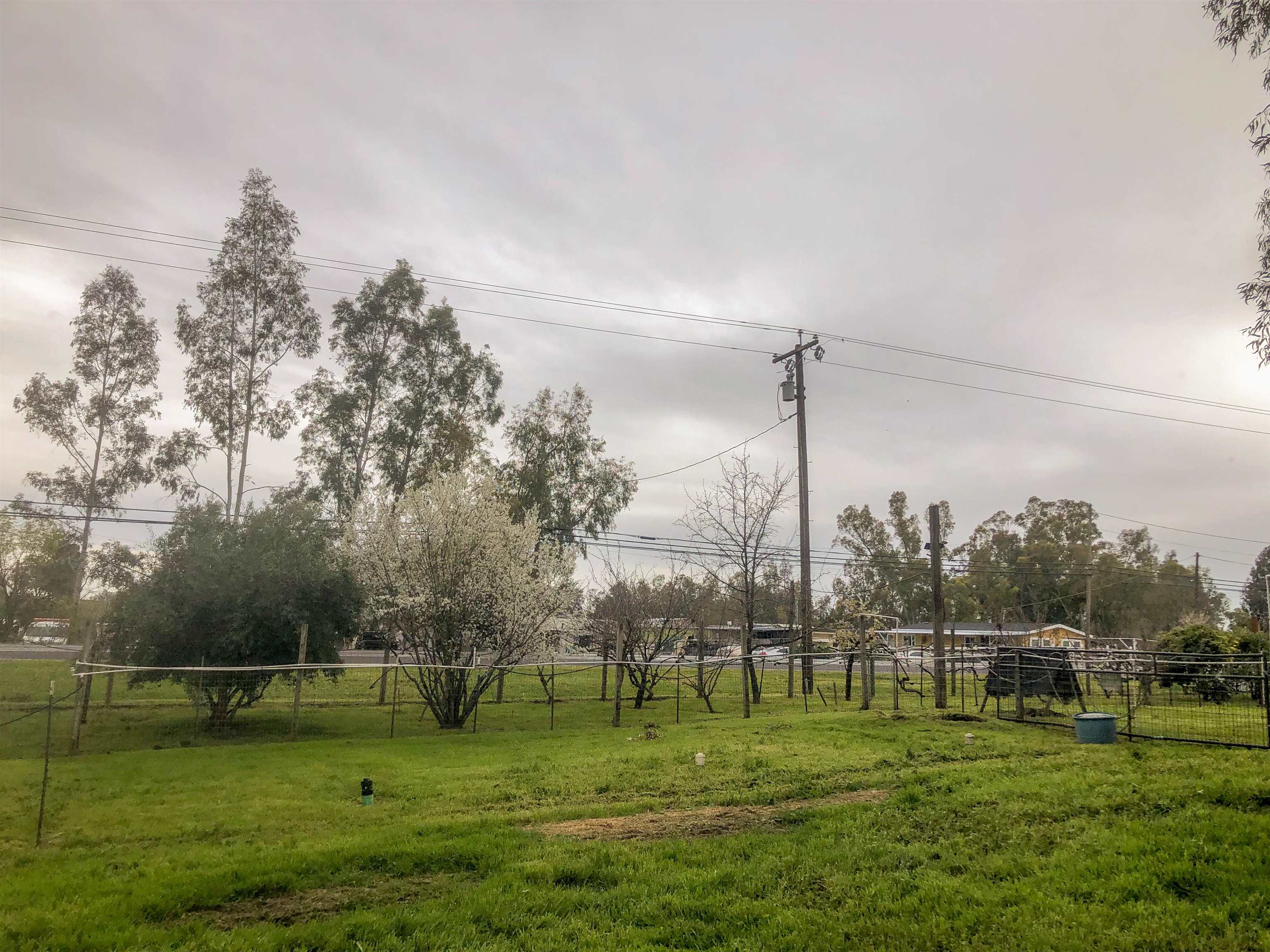 23848 Hoag Road Corning, CA 96021 - Photo 69 of 73