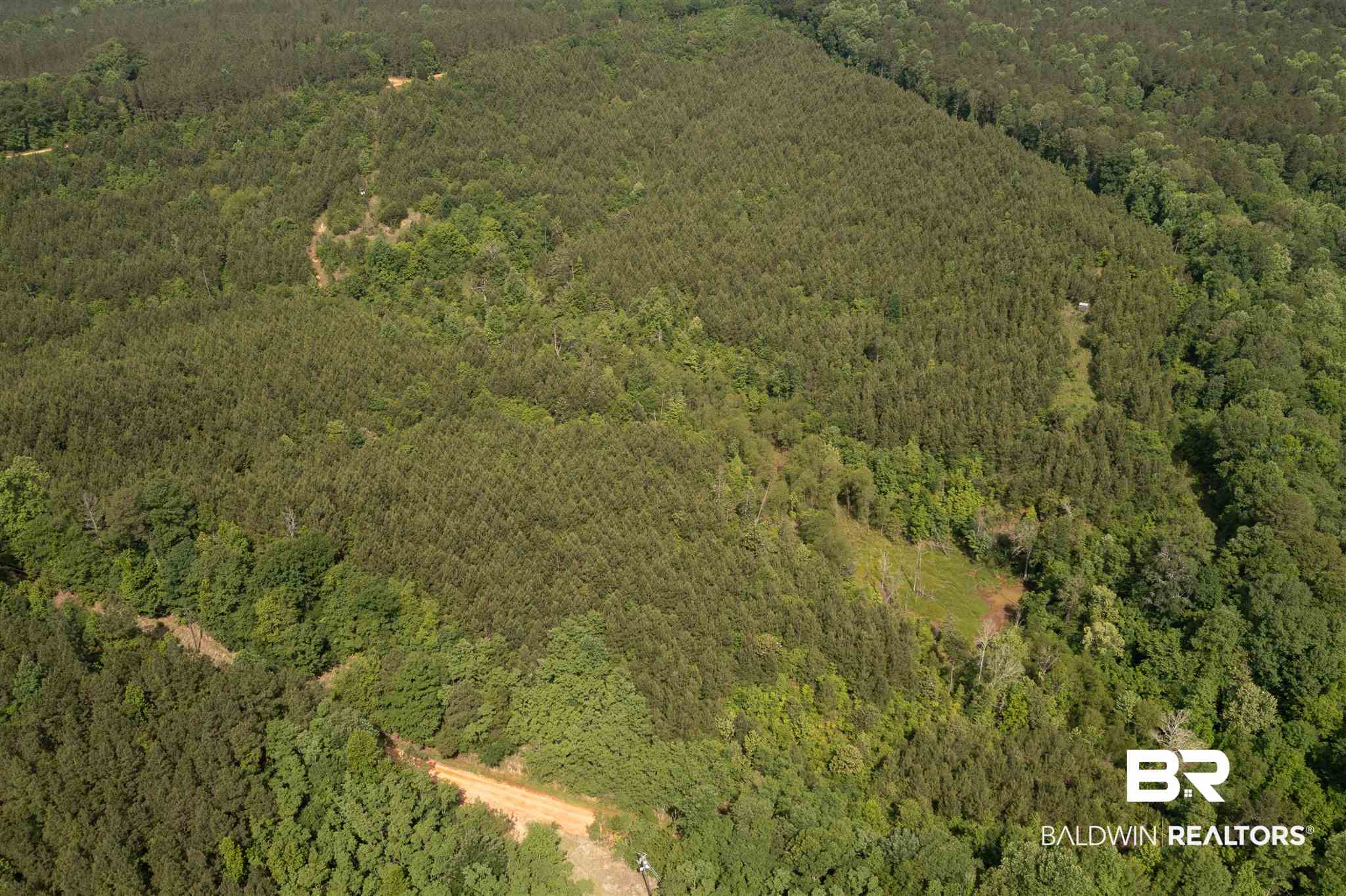 127 Creek Road Gilbertown, AL 36908 - Photo 18 of 18