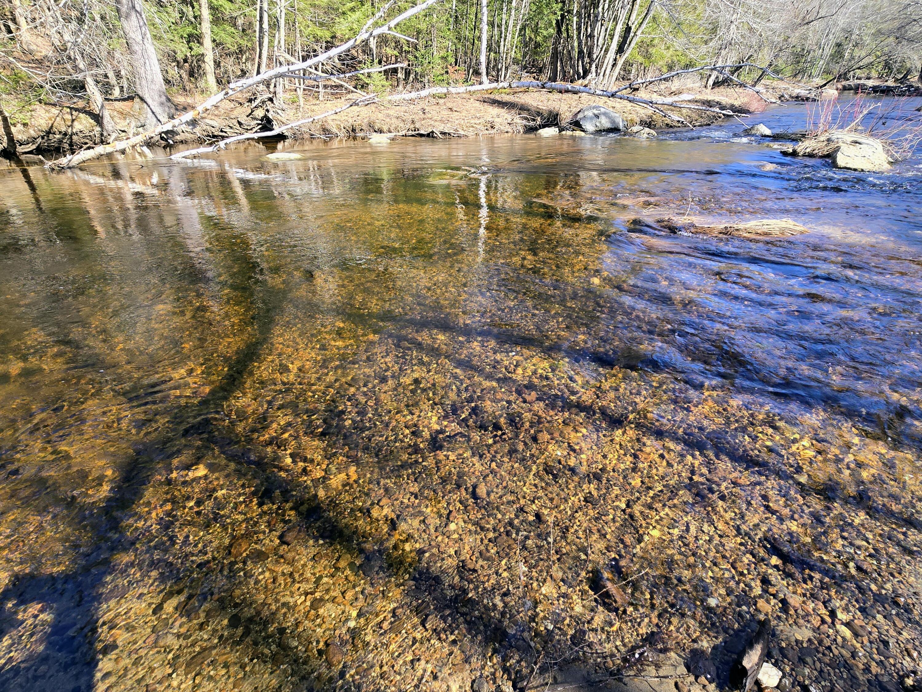 199 Morrill Street Buckfield, ME 04220 - Photo 21 of 34 1000012617