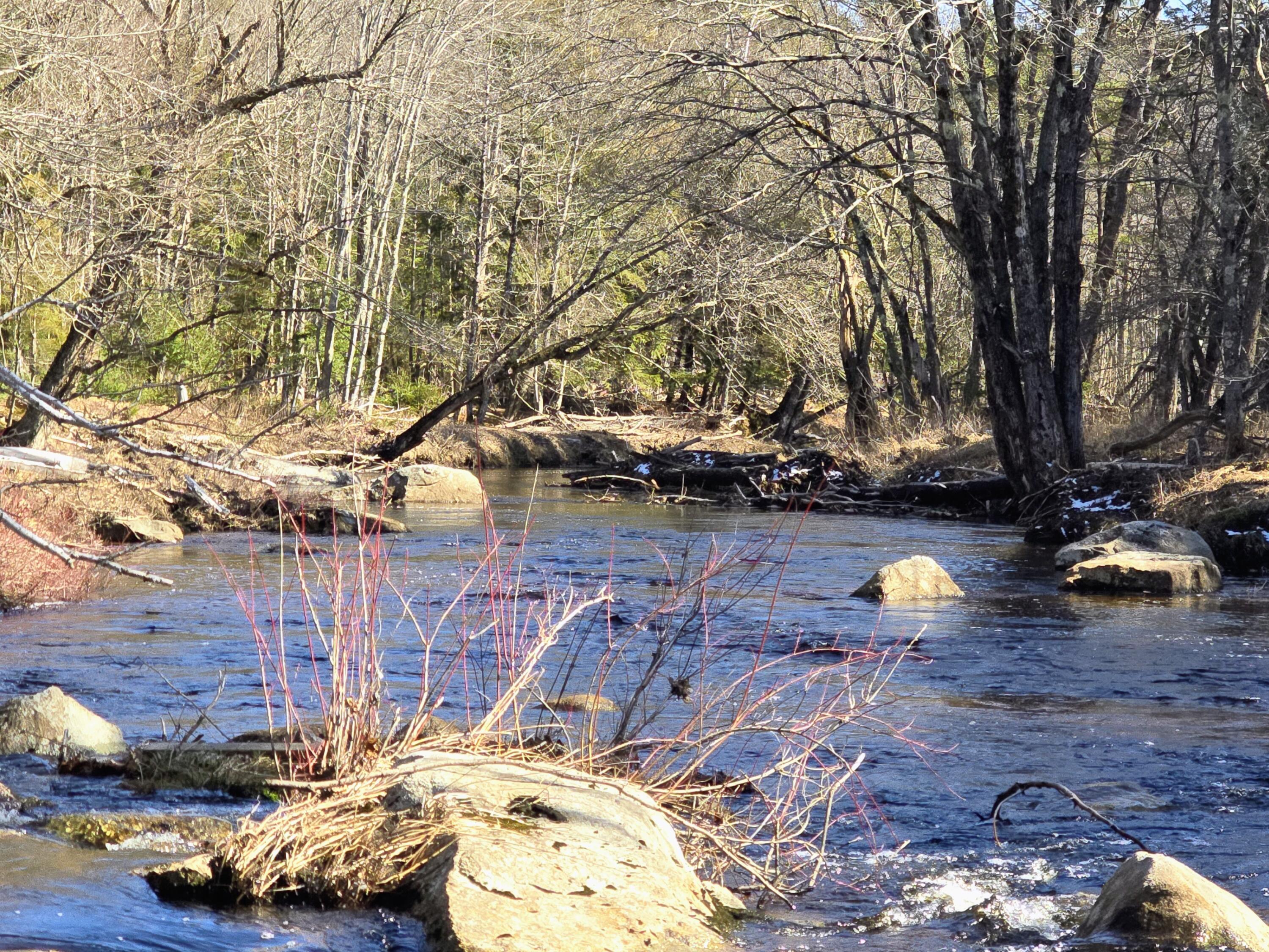 199 Morrill Street Buckfield, ME 04220 - Photo 23 of 34 1000012619