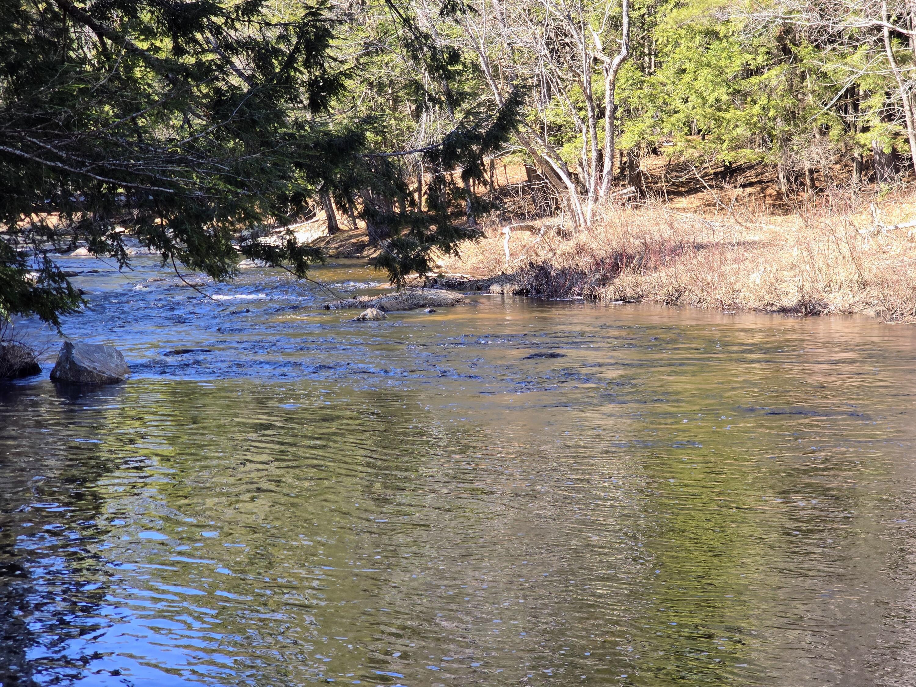 199 Morrill Street Buckfield, ME 04220 - Photo 26 of 34 1000012621