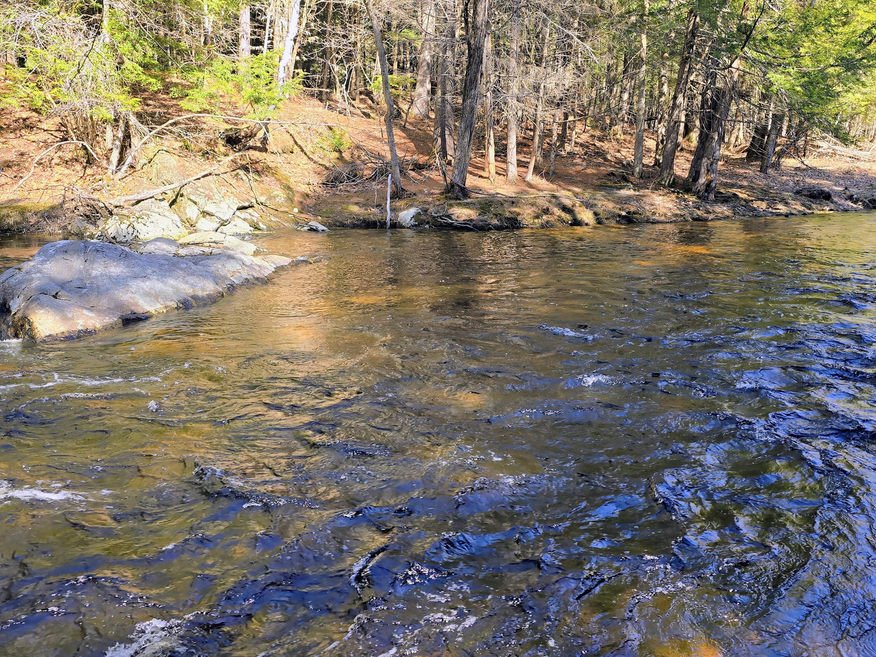 199 Morrill Street Buckfield, ME 04220 - Photo 28 of 34 1000012627