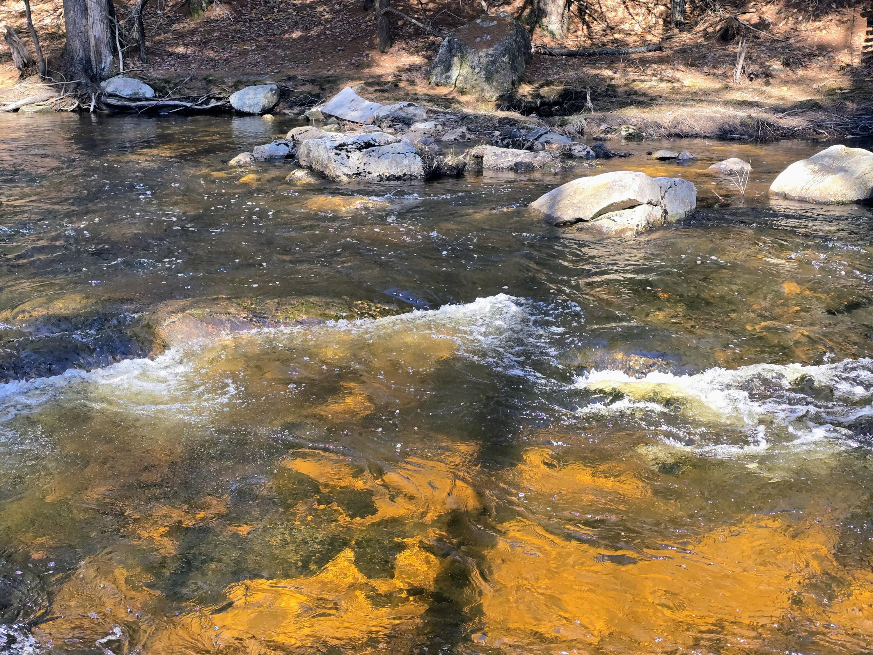 199 Morrill Street Buckfield, ME 04220 - Photo 29 of 34 1000012628