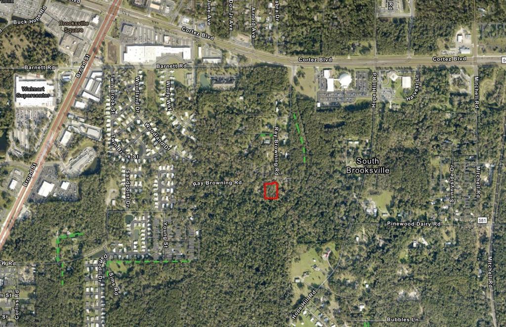 0 Ray Browning Road Brooksville, FL 34601 - Photo 6 of 6