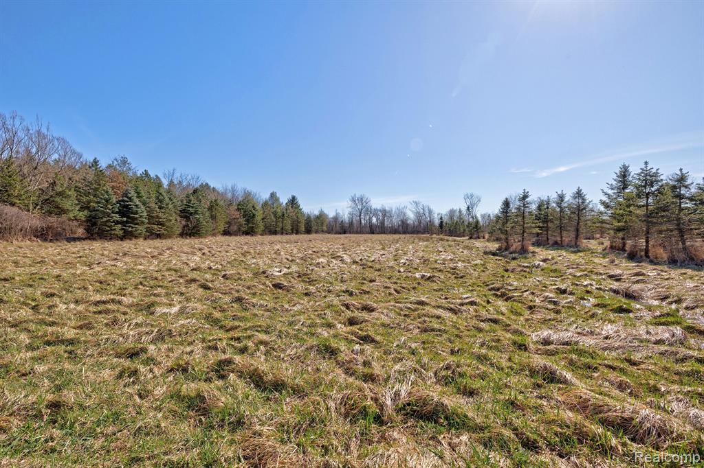 11899 Burt Road Memphis, MI 48041 - Photo 47 of 61