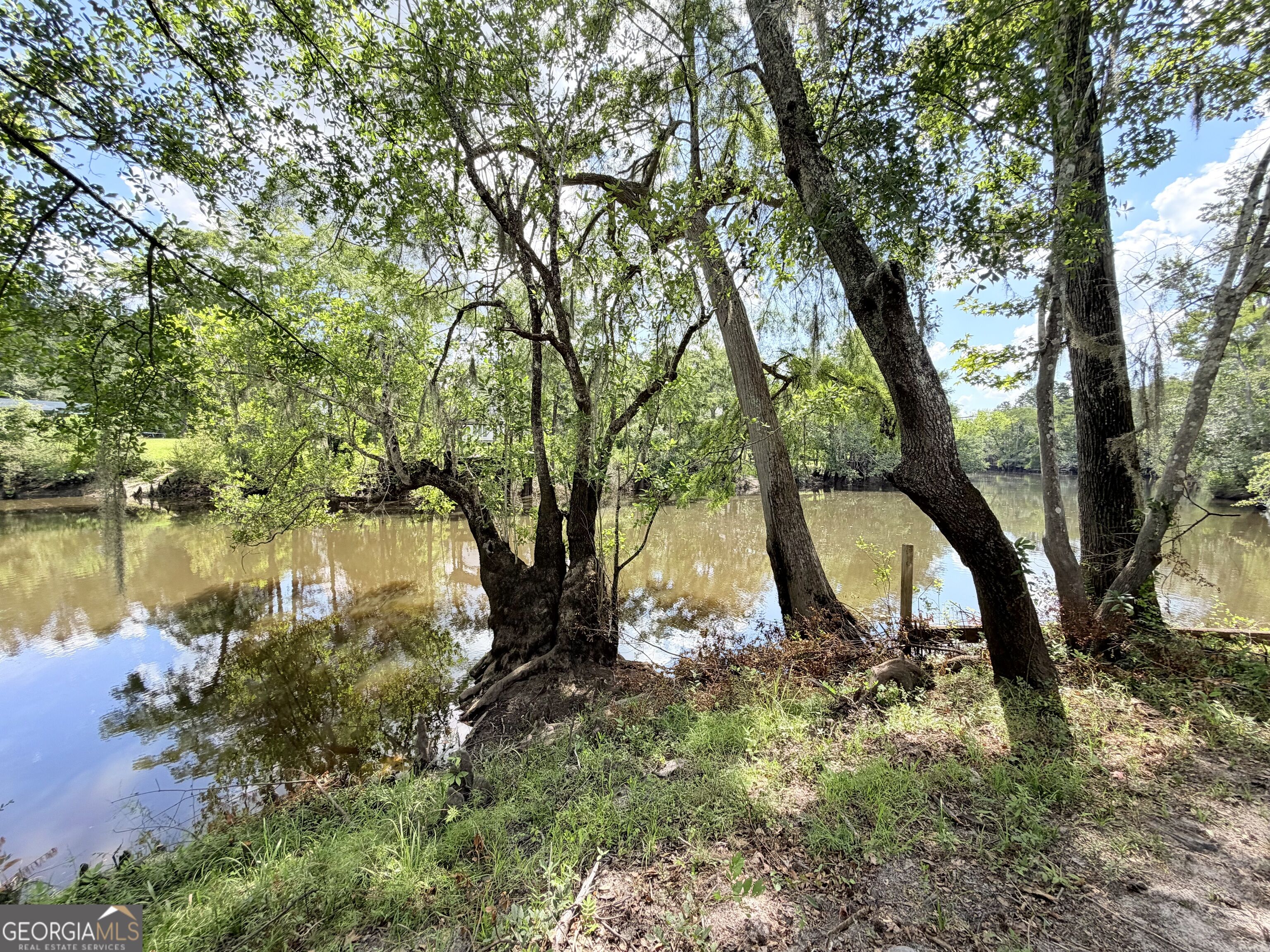 86 Shadydale Road Lumber City, GA 31549 - Photo 41 of 43 Gallery Image 41