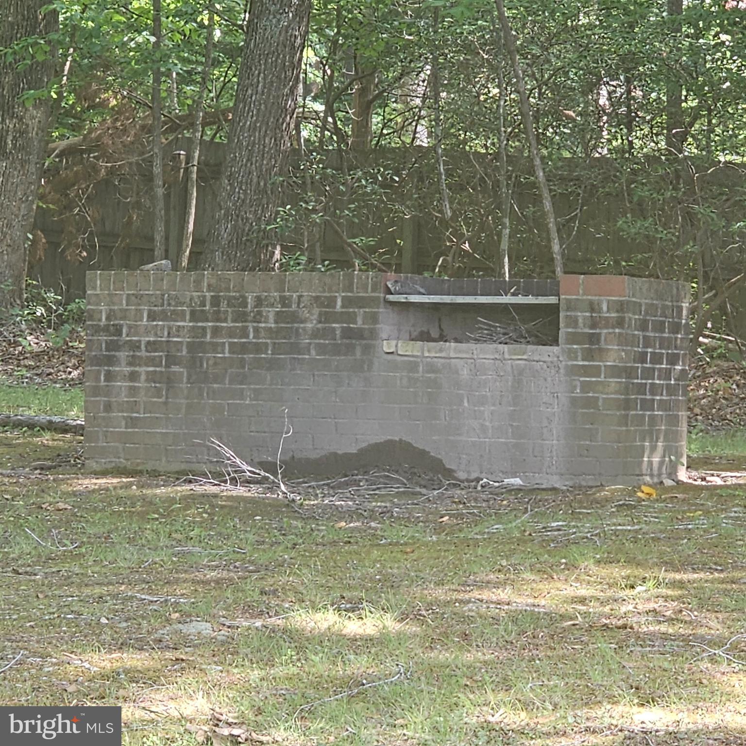Anna Coves Mineral, VA 23117 - Photo 15 of 20 Common area brick cooker/grill