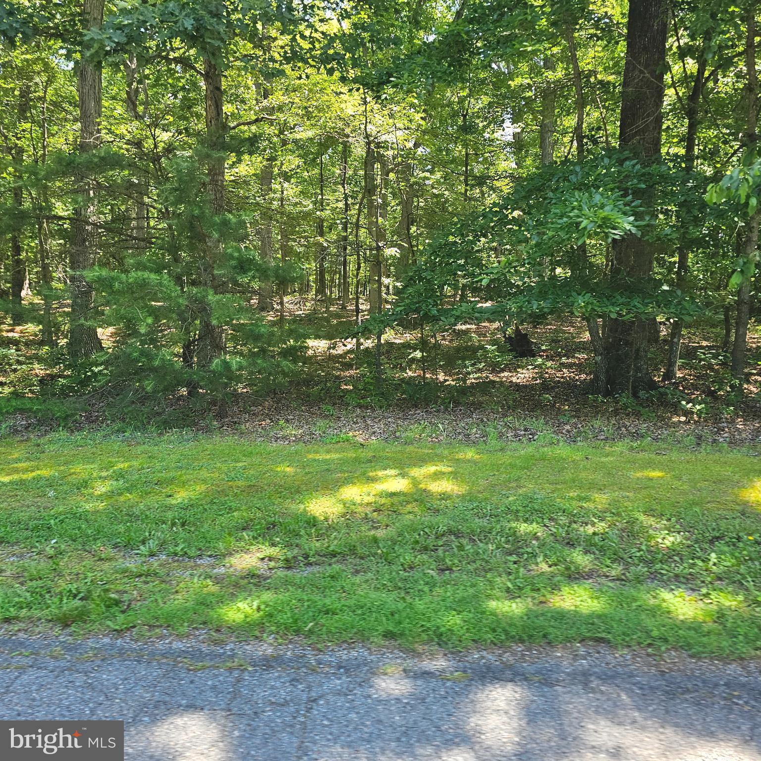 Anna Coves Mineral, VA 23117 - Photo 2 of 20 Lot 96 Anna Coves CT.