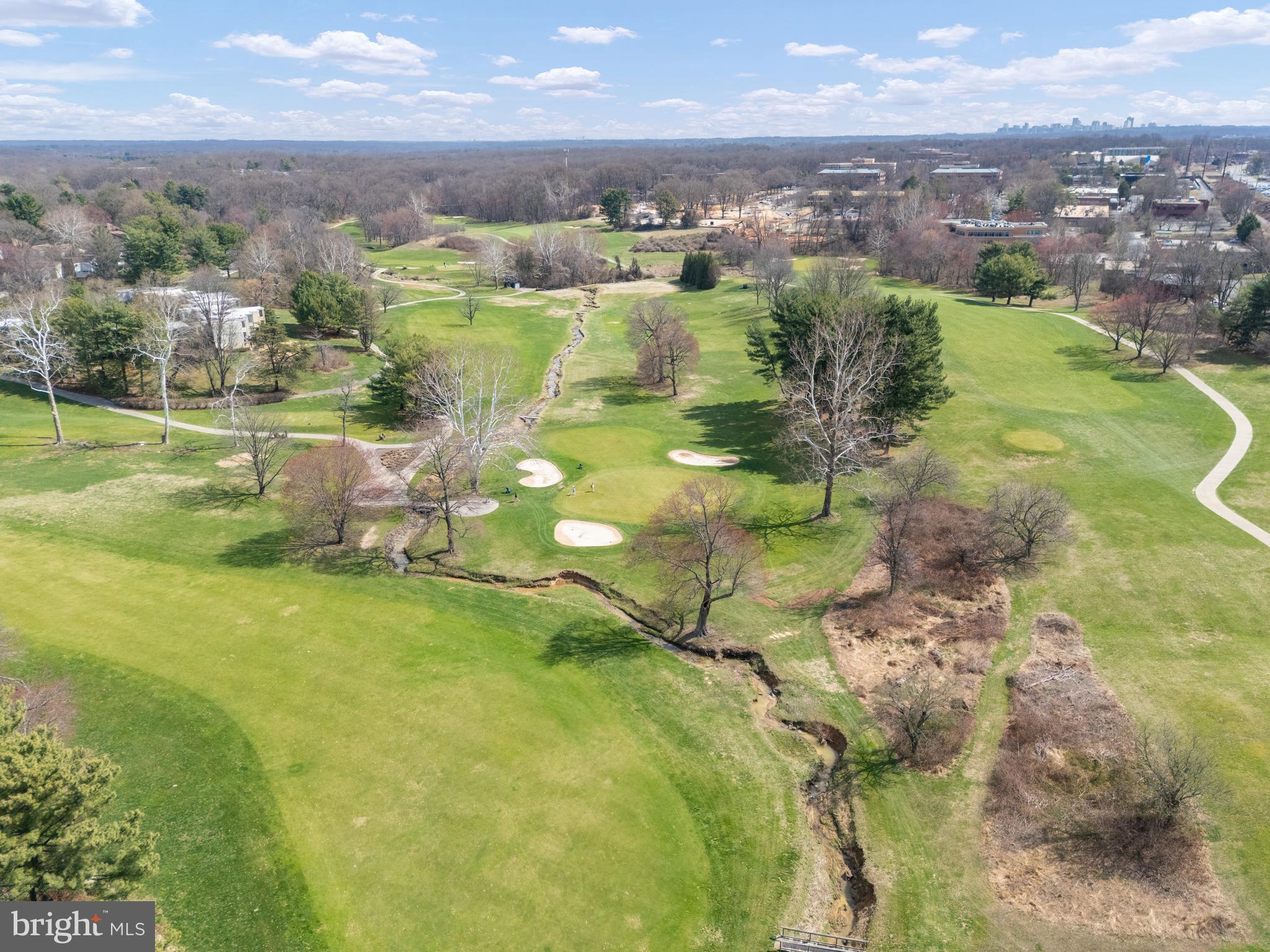 1838 Golf View Court Reston, VA 20190 - Photo 47 of 55