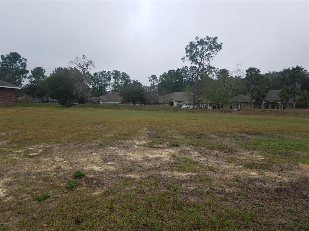 0 Diamond Club Road Ocala, FL 34472 - Photo 1 of 1 Lot 13 Lake Diamond