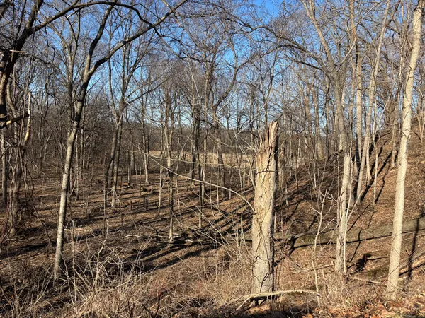 $3,500 | 1784 Tanglewood Drive, Varna, IL 61375