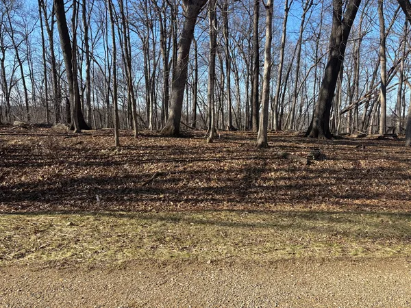 a view of outdoor space with wooden fence