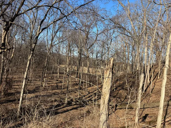 a backyard of a house