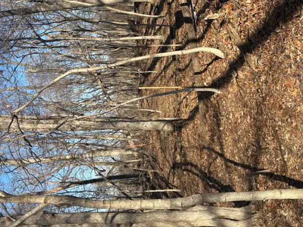 a close up of a glass door