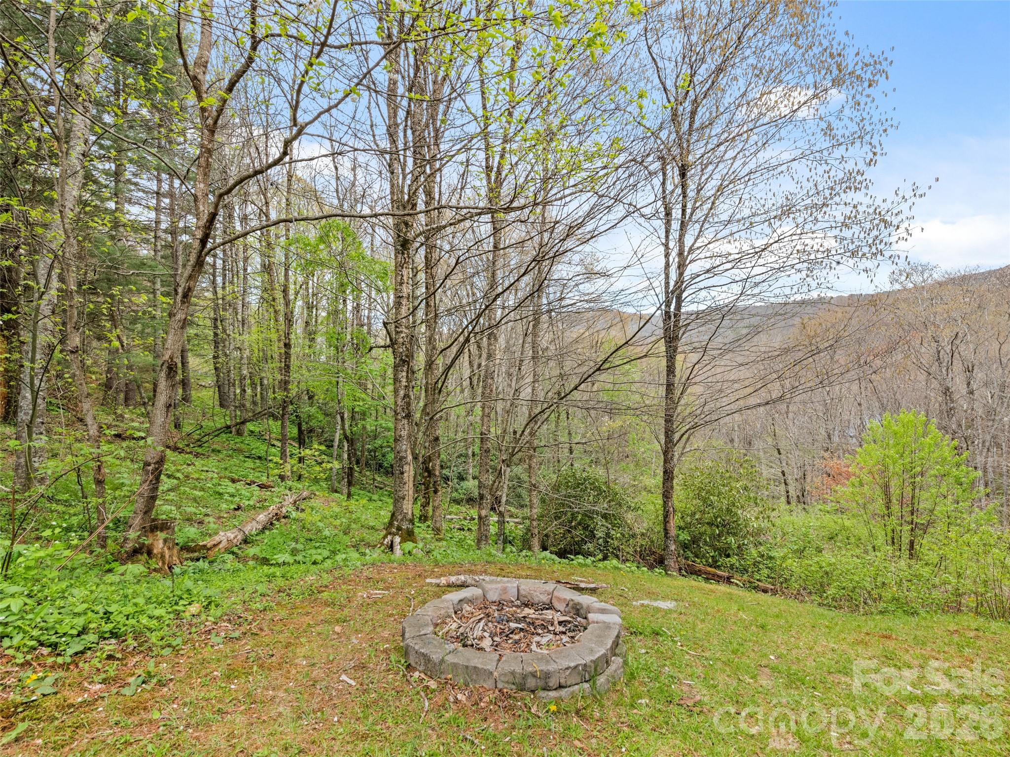 91 Copper Spur Road Maggie Valley, NC 28751 - Photo 28 of 29 a view of a back yard