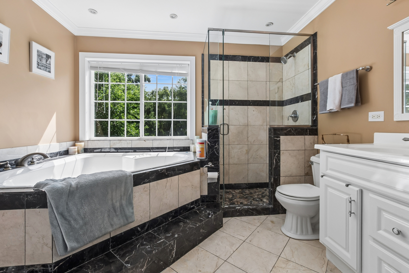3933 Cumnor Road Downers Grove, IL 60515 - Photo 10 of 21