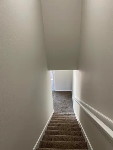 a view of yard with large trees