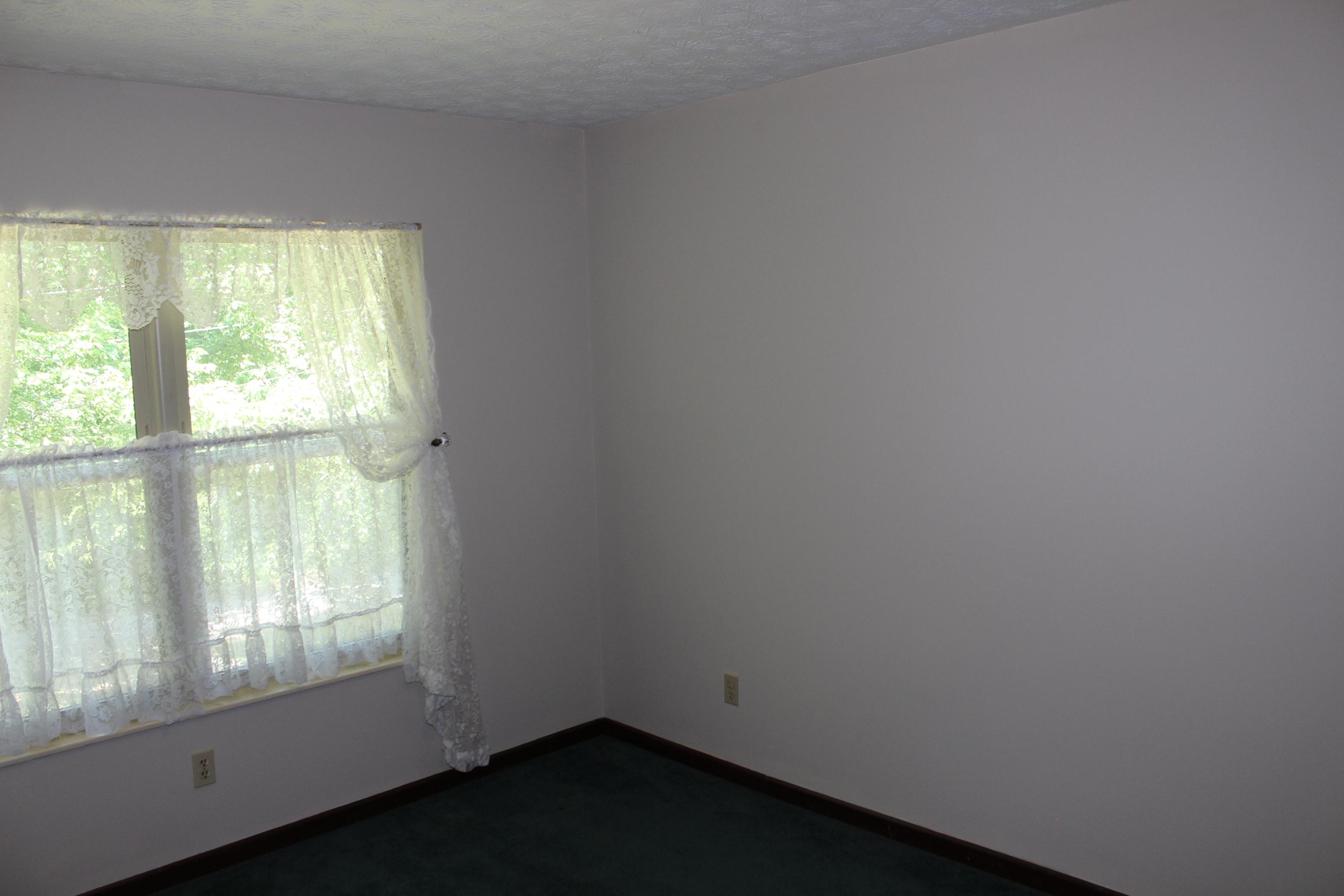 7932 Blueberry Road Powell, TN 37849 - Photo 22 of 27 IMG_4247