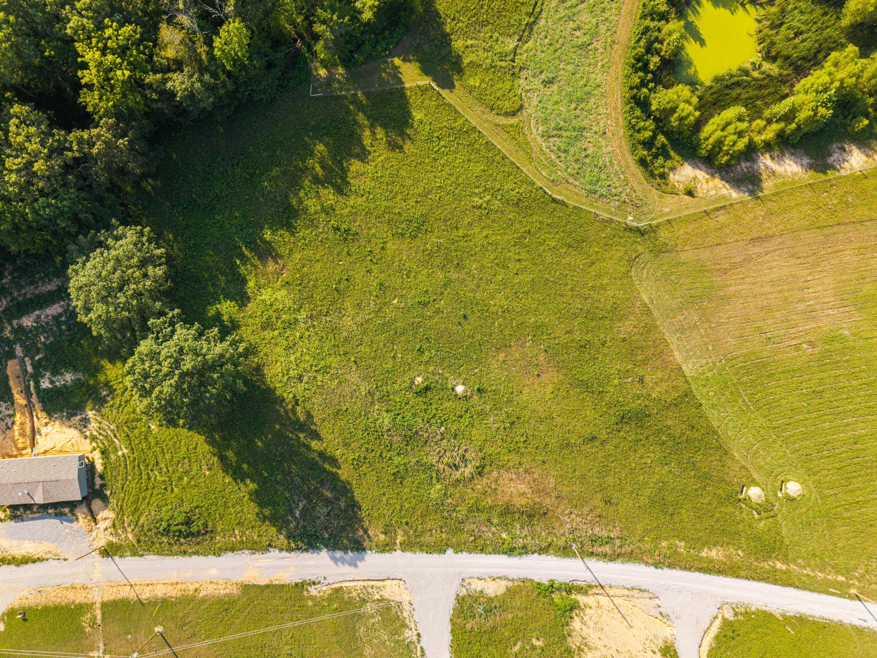 Lot 38 Spring Branch Hollow Road Nancy, KY 42544 - Photo 13 of 13 Spring Branch Lot Photo-14