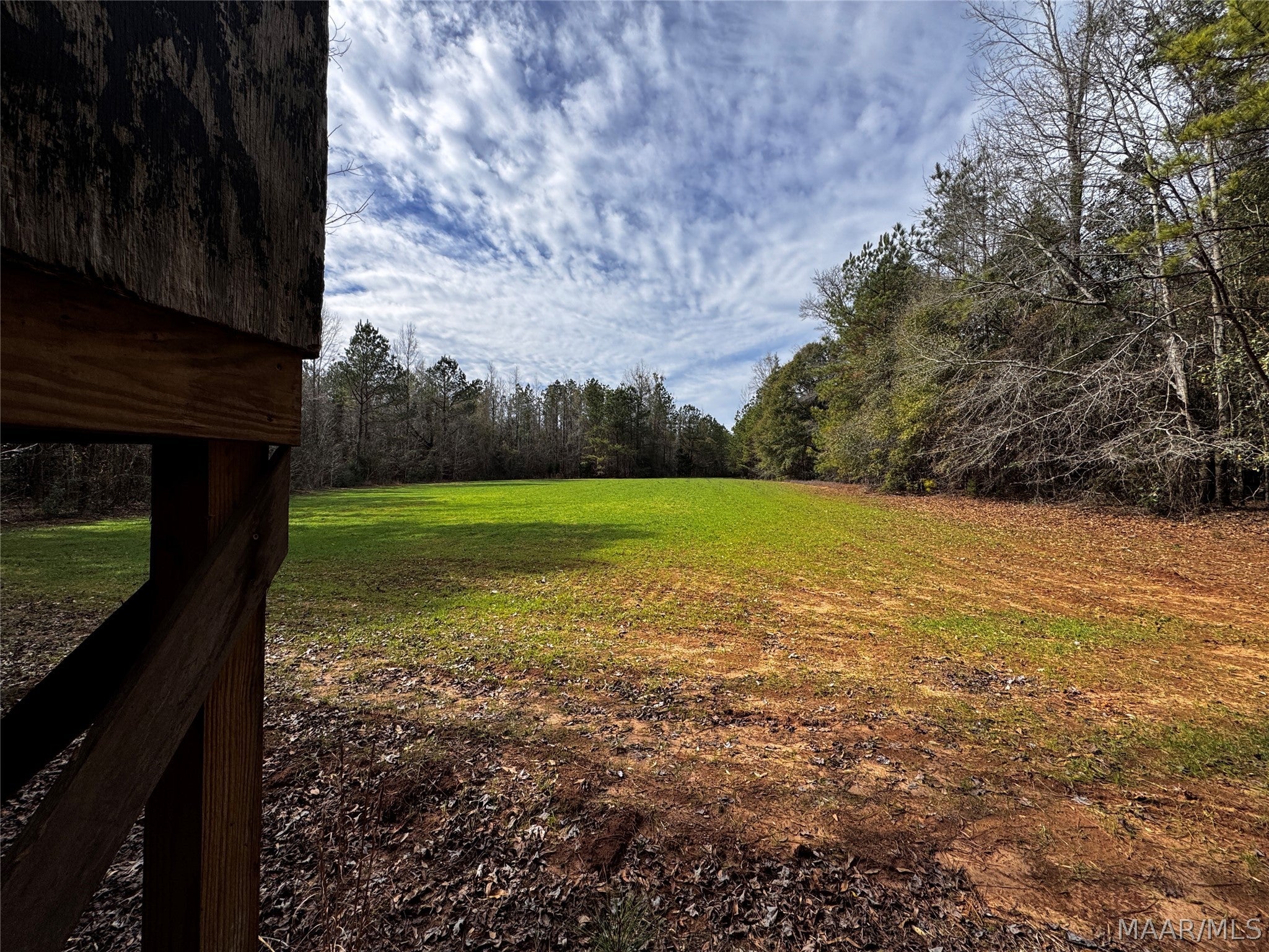 0 County Road Monroeville, AL 36460 - Photo 13 of 44 Gallery Image 13