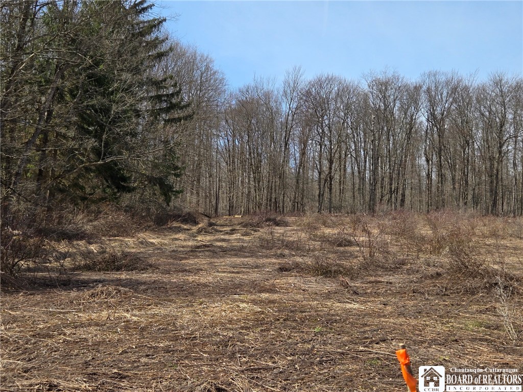 0 West Cobb Road Falconer, NY 14733 - Photo 32 of 49